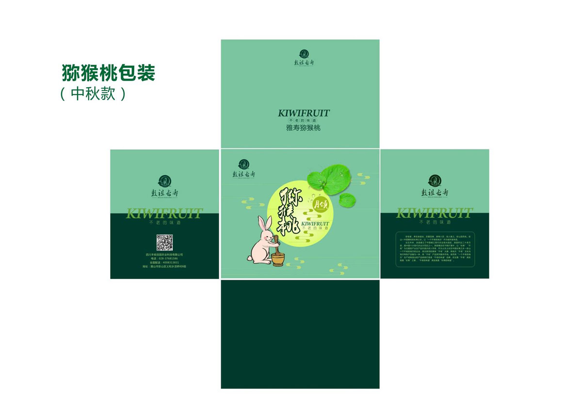 田园农业科技有限公司猕猴桃包装设计效果图,一种产品,三种设计方案